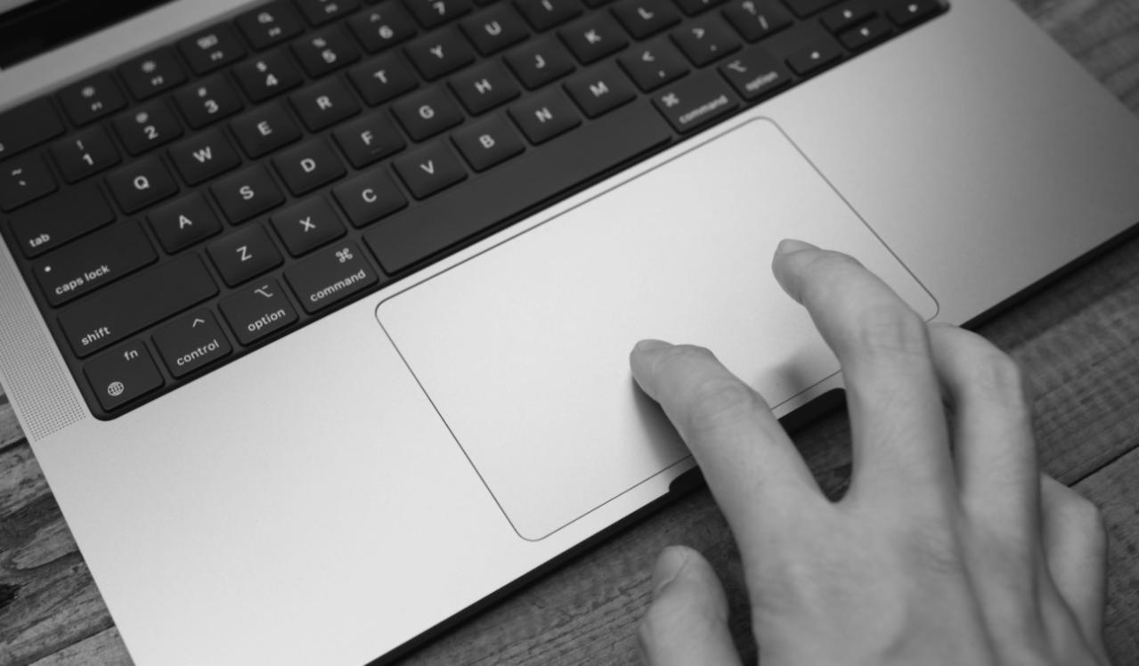 Biznesa prognozēšanas programmas darba process